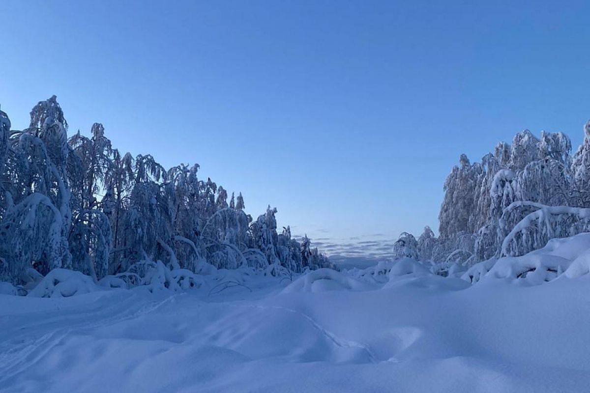 На дно Пермского моря (Каменный город и Усьвинские столбы на снегоходе")